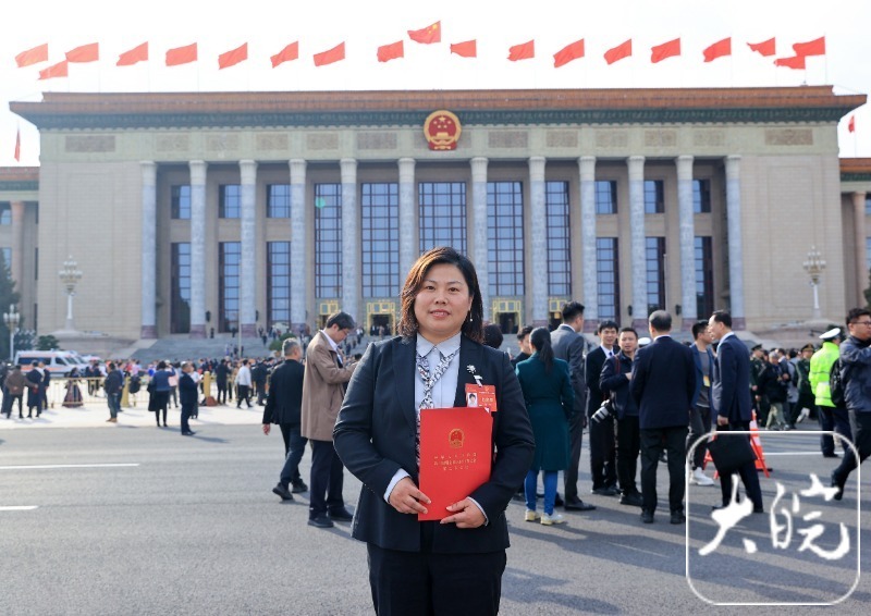代表委員風(fēng)采丨全國人大代表李楊：期待電氣下鄉(xiāng)并給與一定補(bǔ)貼(圖1)