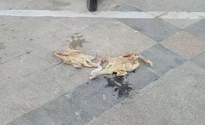 深夜事發(fā)六安一小區(qū)！擴散提醒！(圖3)